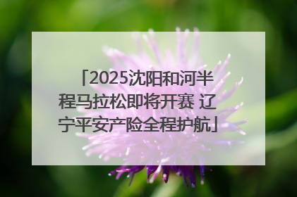 2025沈阳和河半程马拉松即将开赛 辽宁平安产险全程护航